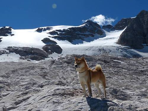 户外攀岩赛事，挑战极限的高墙之战，户外攀岩危险吗