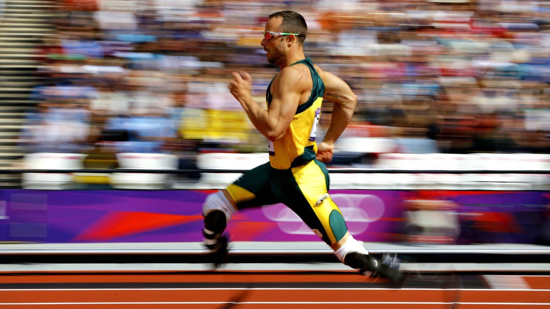 美洲杯激情四射：明星绽放，奇迹不断！，美洲杯视频回顾