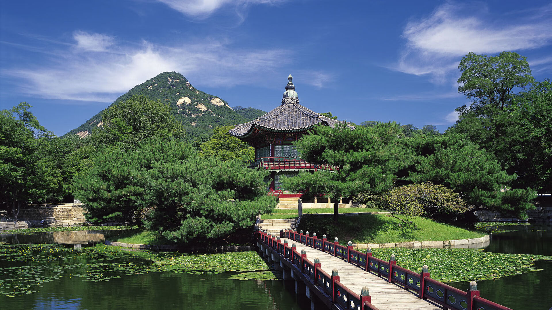 全国游泳锦标赛,池中英豪争夺荣耀,全国游泳冠军赛2021视频