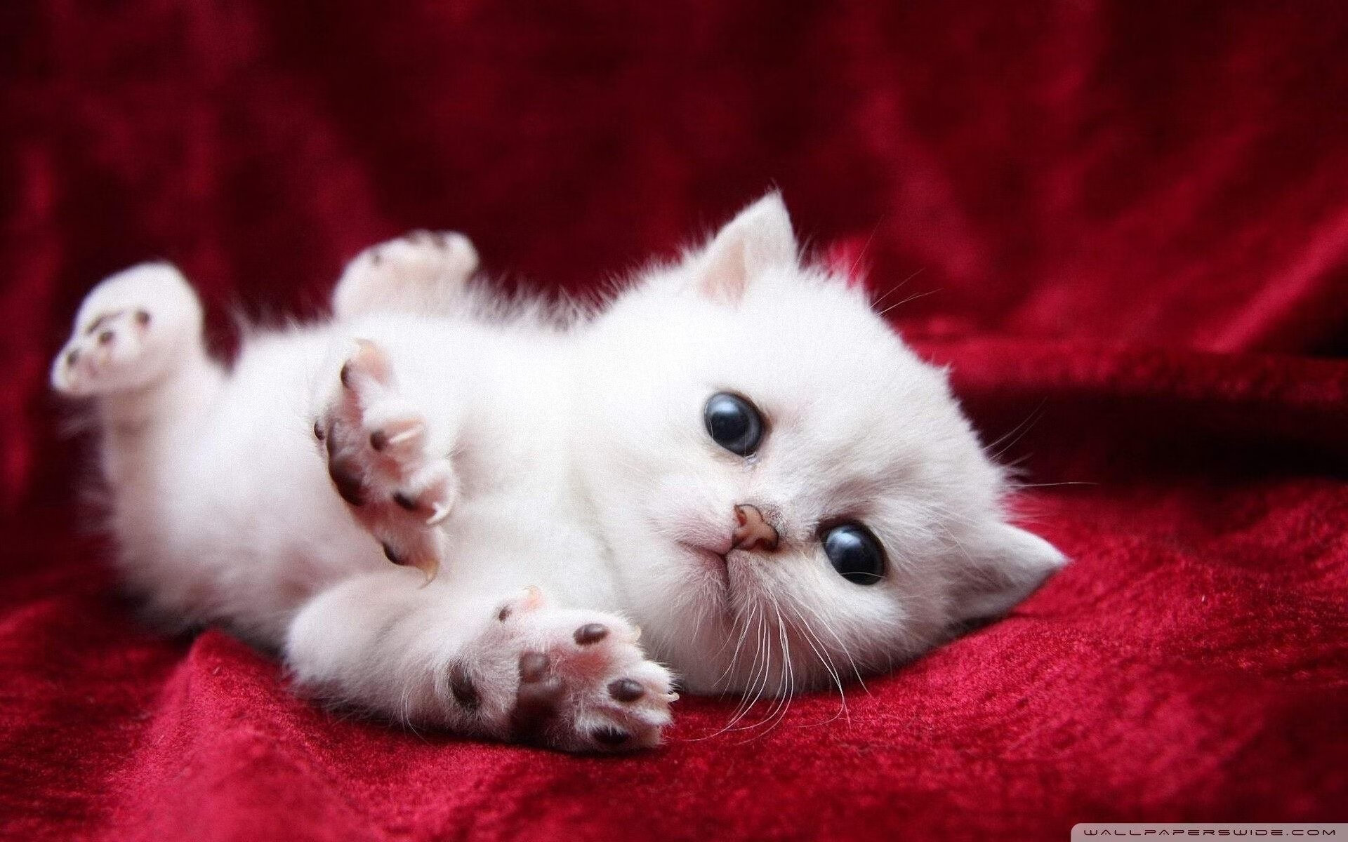 城市探险运动会,寻找未知的惊喜,城市探险网