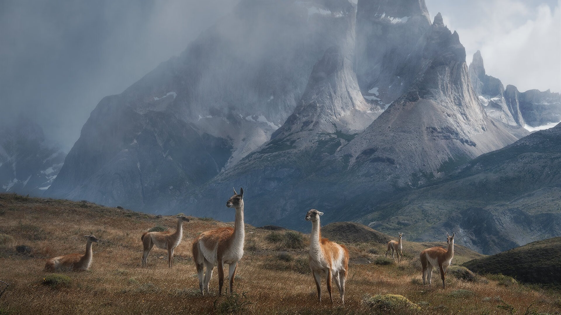 天津队成功引进外籍球员,实力飙升引关注,天津队cba外援